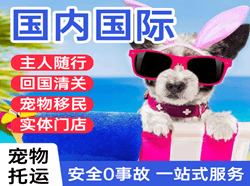 三沙空运地址国际宠物托运 【国